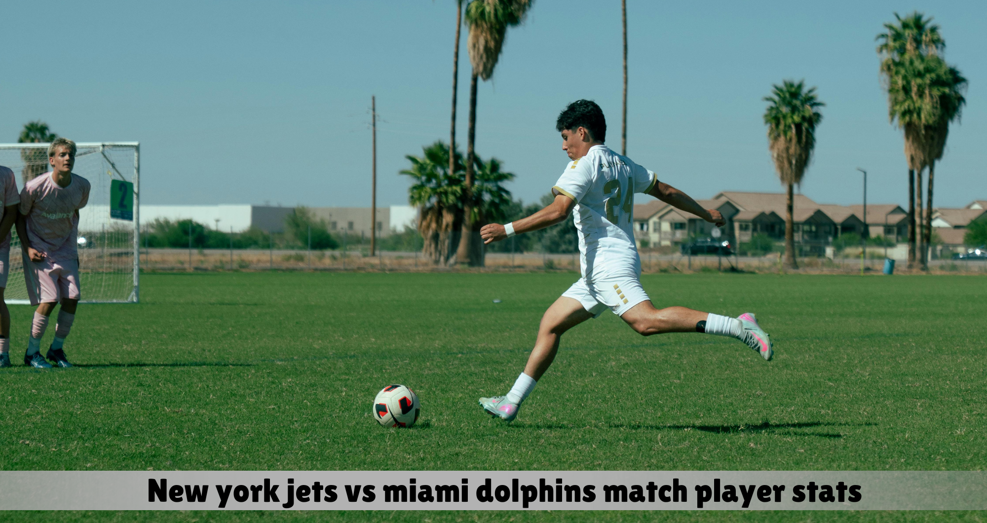 New York Jets vs Miami Dolphins Match Player Stats & Highlights