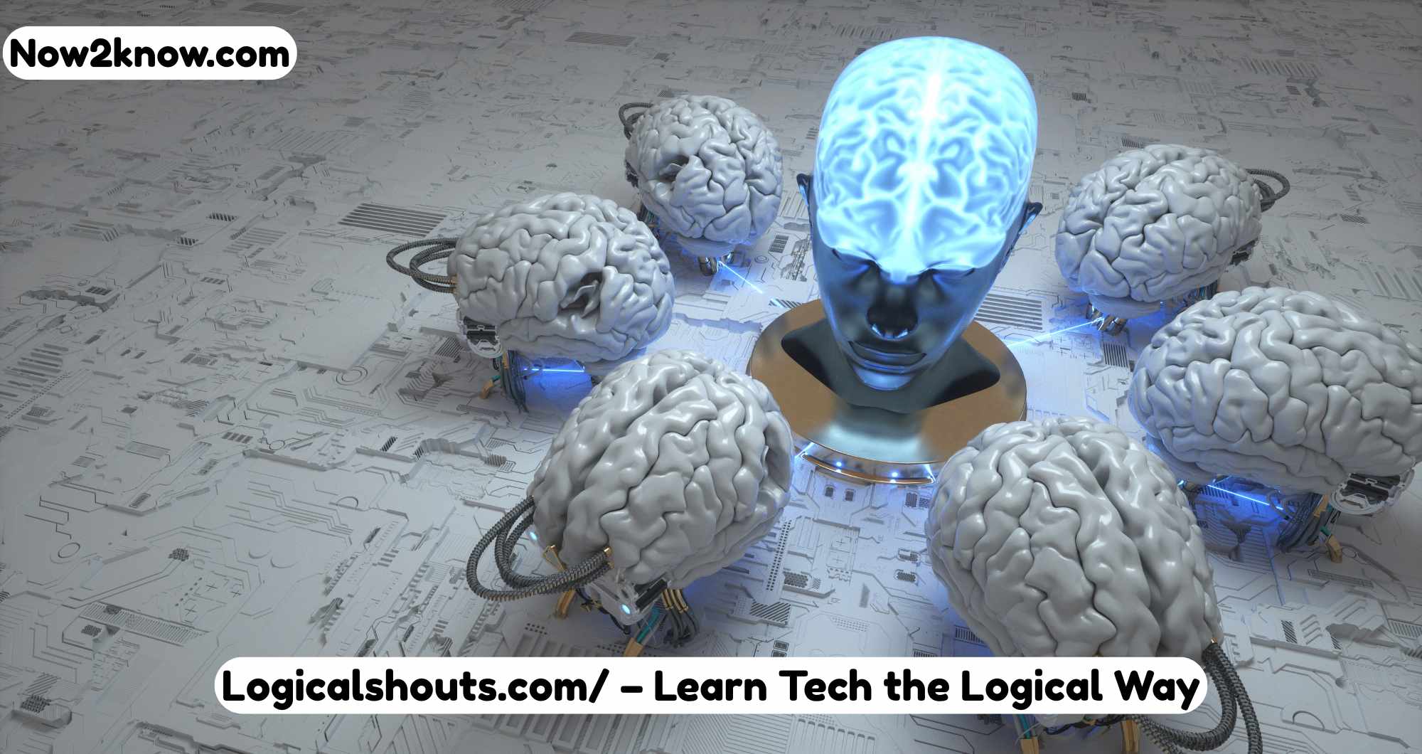 Logicalshouts.com/ – Learn Tech the Logical Way